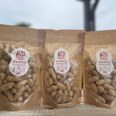 アグリ・アライアンス　焙煎落花生　ちばはんだち　100g×3個　TUTITONE　千葉半立