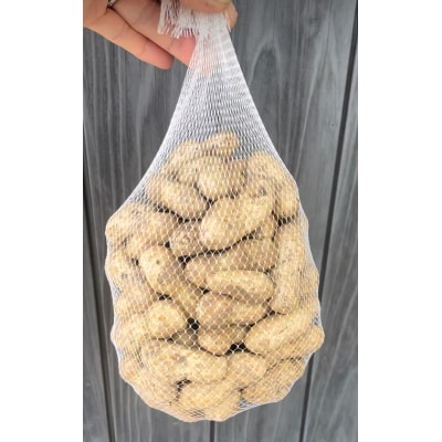 【先行受付商品】おおまさり　生落花生　1kg　栽培期間中農薬不使用【配送時期:9月下旬～10月中旬】