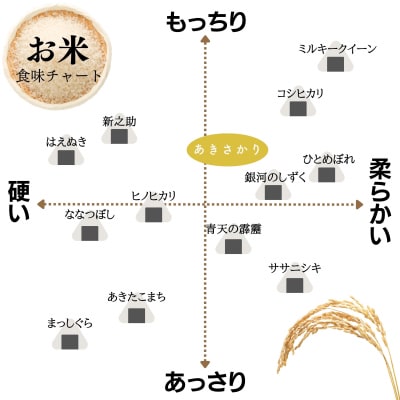 【定期便】10kg 【6ヵ月連続お届け】 計60kg 広島県産 あきさかり 厳選