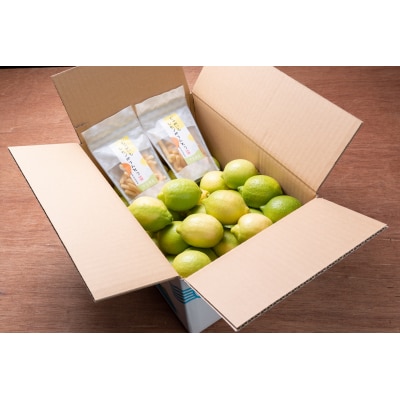 ワックス・防腐剤不使用の皮ごと使えるレモン4kとかりんとう2袋セット【配送時期:9月上旬～4月下旬】