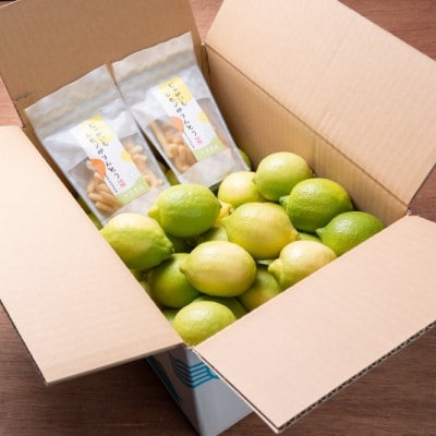 ワックス・防腐剤不使用の皮ごと使えるレモン4kとかりんとう2袋セット【配送時期:9月上旬～6月中旬】