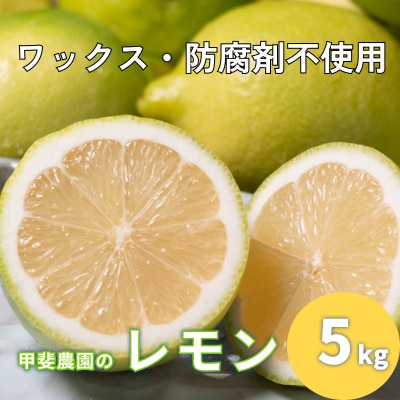 ワックス・防腐剤不使用の皮ごと使えるレモン5kg【配送時期:9月上旬～5月中旬】