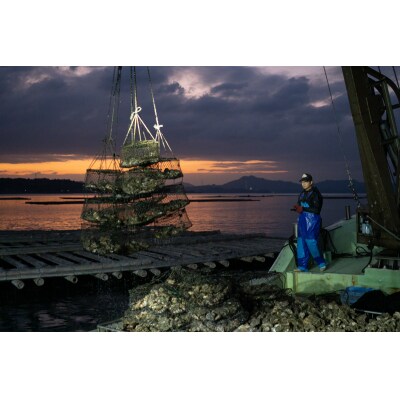 【先行受付商品】牡蠣 殻付き 15～20個 【配送時期:1月上旬～3月下旬】