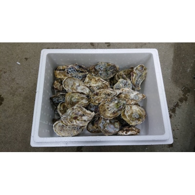 【先行受付商品】牡蠣 殻付き 35～40個 【配送時期:1月上旬～3月下旬】