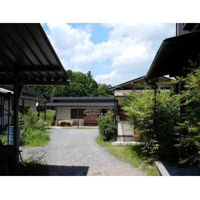 賀茂台地慕情 ブロンズ美人マグカップ