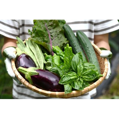 【先行受付商品】旬のやさい　おまかせセット【配送時期:6月上旬～12月下旬】