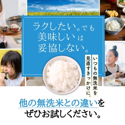 【定期便】5kg 【6ヵ月連続お届け】 計30kg 広島県産 無洗米 厳選