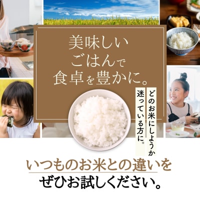 【定期便 5kg【6ヵ月連続お届け】 計30kg 広島県産 お米マイスター厳選米 【出荷直前精米】