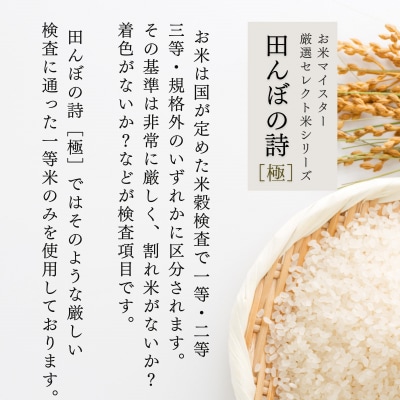 【定期便】5kg【6ヵ月連続お届け】 計30kg 広島県産 厳選米 【出荷直前精米】