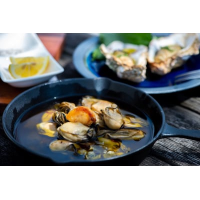 牡蠣　広島　むき身冷凍牡蠣　2Lサイズ　300g×2袋　矢野水産