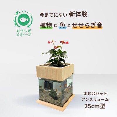 せせらぎビオトープ　25cm型基本+木枠台セット(アンスリウム)