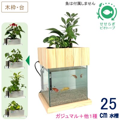 せせらぎビオトープ　25cm型基本+木枠台セット(ガジュマル+他1種)