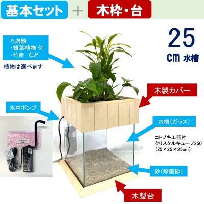 せせらぎビオトープ　25cm型基本+木枠台セット(ガジュマル+他1種)