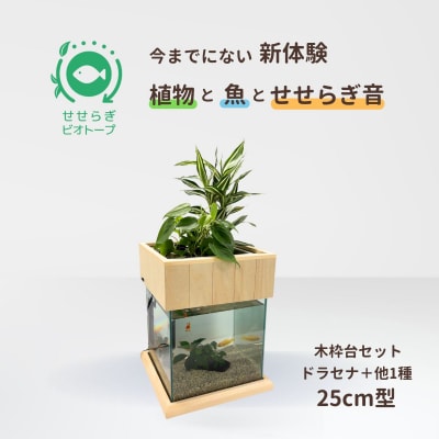 炬rIg[v@25cm^{+ؘgZbg(hZi+1)