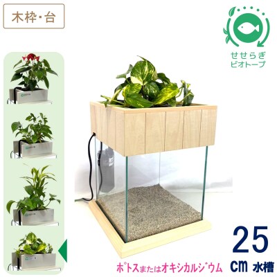 せせらぎビオトープ　25cm型基本+木枠台セット(ポトスorオキシカルジウム)