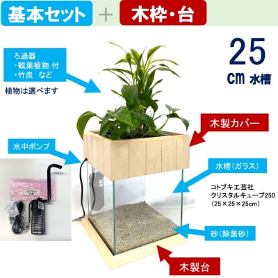 せせらぎビオトープ　25cm型基本+木枠台セット(ポトスorオキシカルジウム)