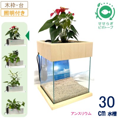 せせらぎビオトープ　30cm型照明+木枠台セット(アンスリウム)
