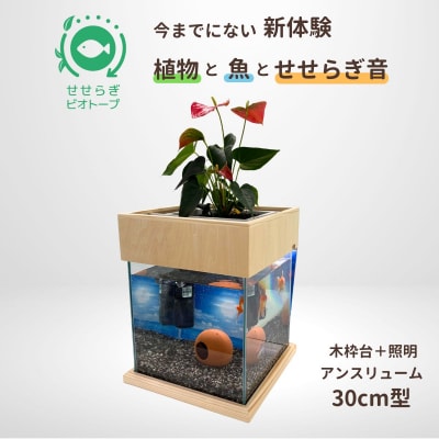 せせらぎビオトープ　30cm型照明+木枠台セット(アンスリウム)