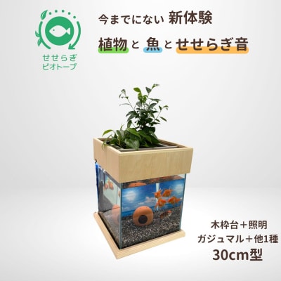 せせらぎビオトープ　30cm型照明+木枠台セット(ガジュマル+他1種)