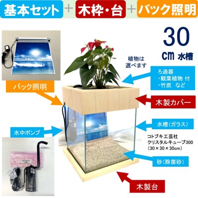 せせらぎビオトープ　30cm型照明+木枠台セット(ポトスorオキシカルジウム)