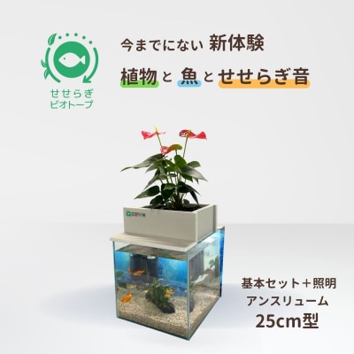せせらぎビオトープ　25cm型基本+照明セット(アンスリウム)