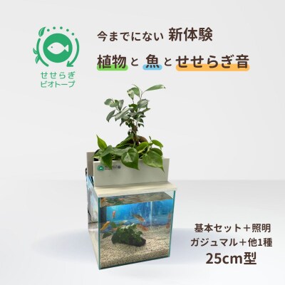 せせらぎビオトープ　25cm型基本+照明セット(ガジュマル+他1種)