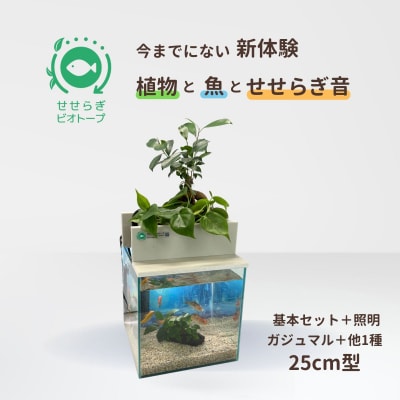 せせらぎビオトープ　25cm型基本+照明セット(ガジュマル+他1種)