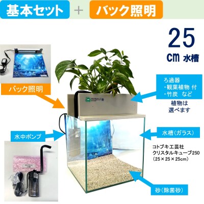 せせらぎビオトープ　25cm型基本+照明セット(ドラセナ+他1種)