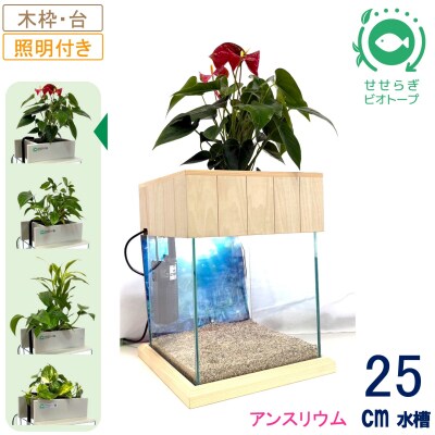せせらぎビオトープ　25cm型照明+木枠台セット(アンスリウム)