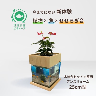 せせらぎビオトープ　25cm型照明+木枠台セット(アンスリウム)