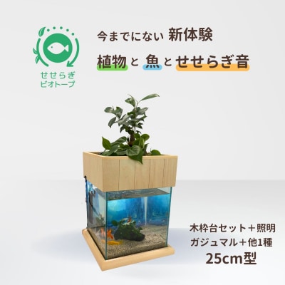 せせらぎビオトープ　25cm型照明+木枠台セット(ガジュマル+他1種)