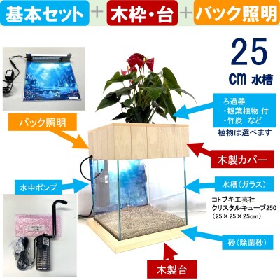 せせらぎビオトープ　25cm型照明+木枠台セット(ガジュマル+他1種)