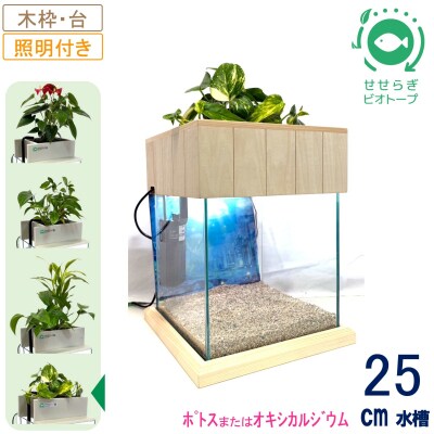 せせらぎビオトープ　25cm型照明+木枠台セット(ポトスorオキシカルジウム)
