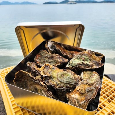 広島　安芸津産　殻付き牡蠣　カンカン焼き　約15～20個【配送不可:離島】