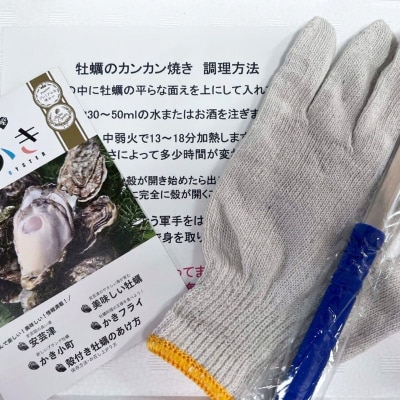広島　安芸津産　殻付き牡蠣　カンカン焼き　約15～20個【配送不可:離島】