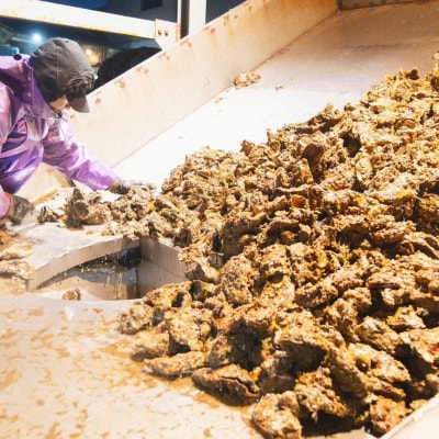 広島　安芸津産　殻付き牡蠣　カンカン焼き　約15～20個【配送不可:離島】