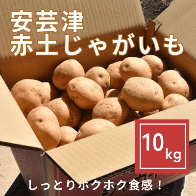 【先行受付商品】安芸津 赤土じゃがいも 10kg 配送時期:6月下旬～8月下旬/11月下旬～1月上旬