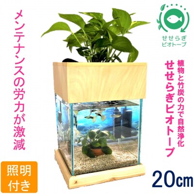 せせらぎビオトープ　20cm型基本照明+木枠台セット