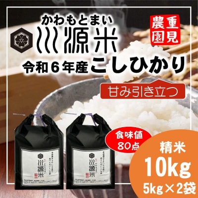 川源米　令和6年産こしひかり　直前精米　10kg(5kg×2袋)　