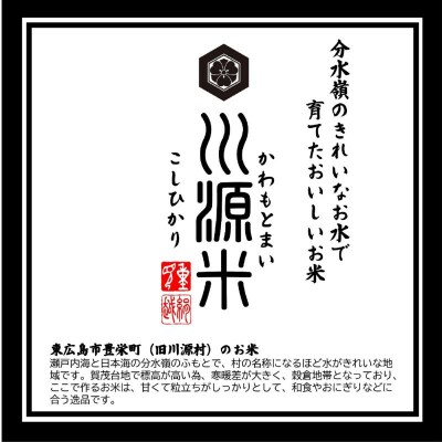 川源米　令和7年産こしひかり　直前精米　10kg(5kg×2袋)　