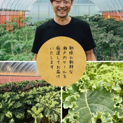 瀬戸内ケール(5袋)と瀬戸内ケールかりんとう(5袋)の食べ比べセット