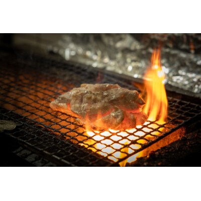 冷凍　東広島こい地鶏備長炭焼　100g×2袋