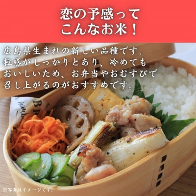 令和7年産　東広島市産米　恋の予感　無洗米　10kg