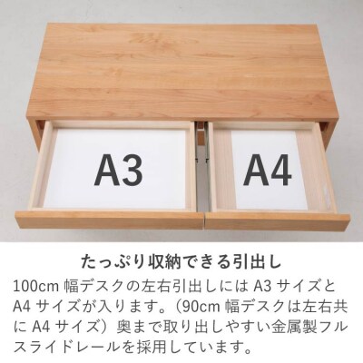 学習デスク2点セット(カルロ 100本体・100ラック)