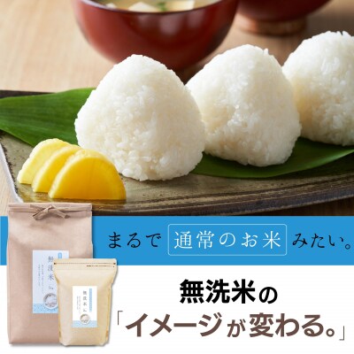 【定期便】無洗米 2kg【3ヶ月連続お届け】 計6kg  お米マイスター厳選 広島県産