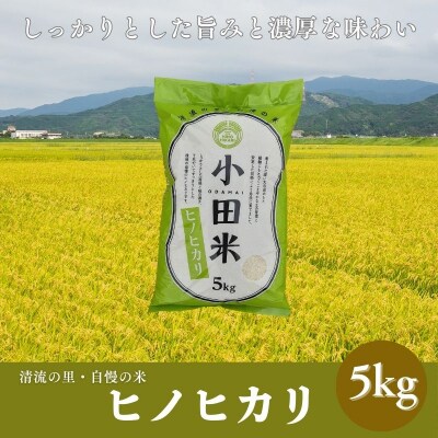 令和7年度産米　ヒノヒカリ 5kg