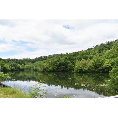 黒大豆(黒招福) 750g×3袋