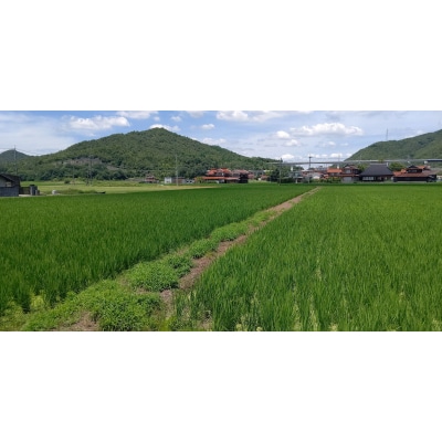 東広島市産米 令和7年産 あきさかり 5kg×2袋