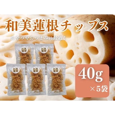 和美蓮根チップス 40g×5袋