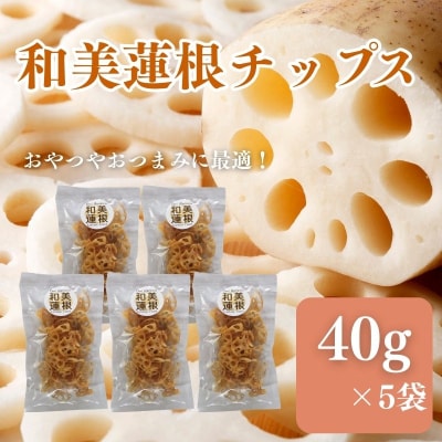 和美蓮根チップス 40g×5袋